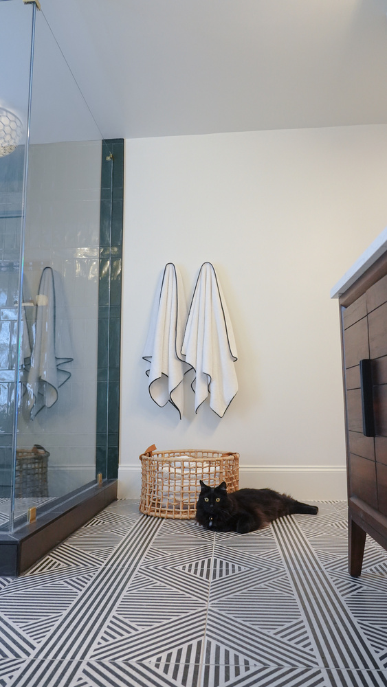 Black cat lounging in front of shower and towel basket in a custom bathroom by Exodus Design Build in Gainesville, GA.